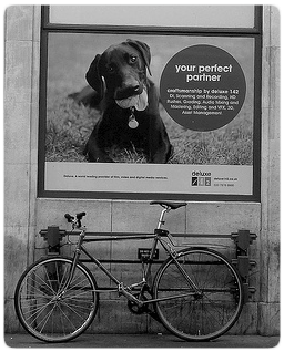 Find your best partners